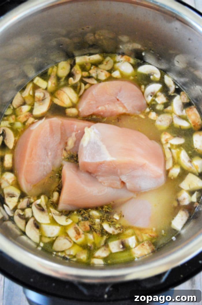 Comforting Instant Pot Chicken and Rice Soup 9 A close-up of Instant Pot Chicken and Rice Soup in a bowl, showing the rich texture of the ingredients.