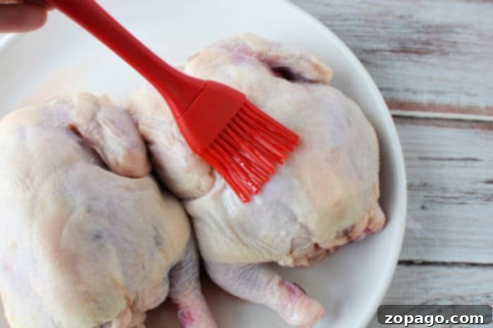 Perfect Air Fryer Cornish Hen 5 A red silicone brush applying olive oil to a raw Cornish game hen on a white plate, preparing it for seasoning and air frying to achieve a wonderfully crispy skin.