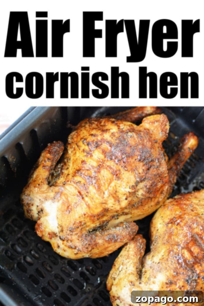 Crispy Air Fryer Cornish Hen 9 A perfectly cooked Cornish Hen in Air Fryer, golden brown and ready to serve.
