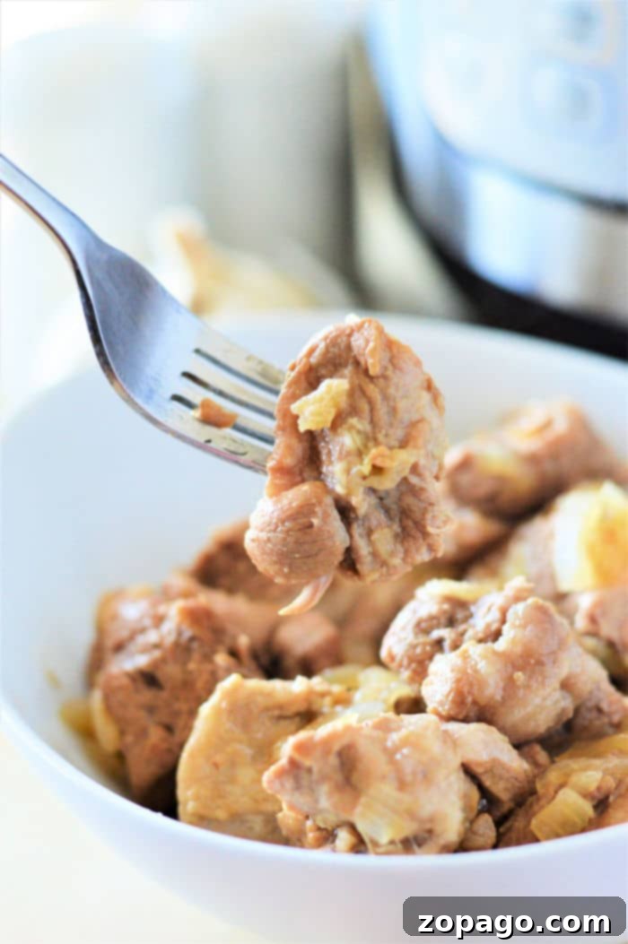 Filipino Pork Adobo 2 A fork holds a piece of tender pork adobo above a bowl filled with chunks of meat and onions, freshly made in an Instant Pot.