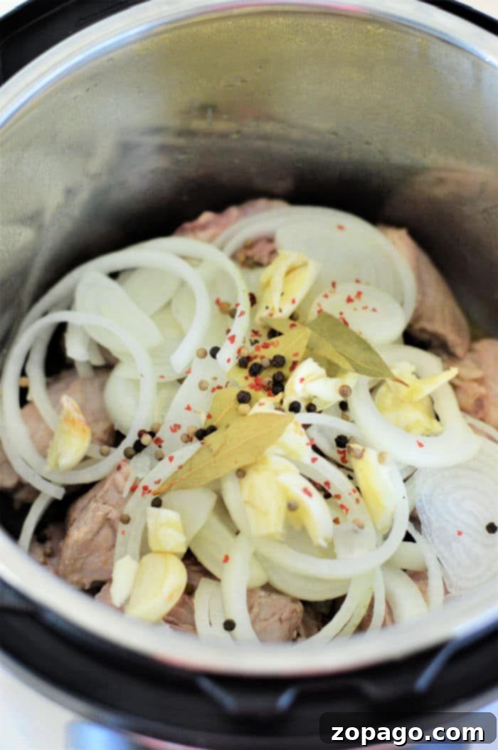 Filipino Pork Adobo 6 Sliced onions, garlic, bay leaves, and peppercorns on top of meat in this easy pork adobo Instant Pot recipe.