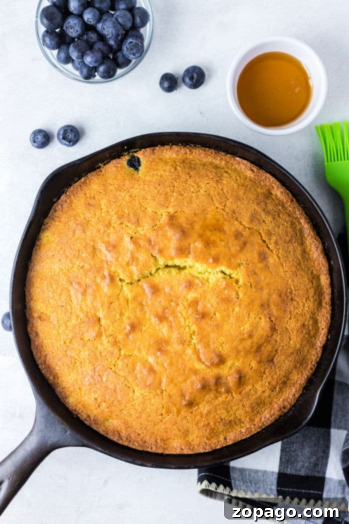 Homestyle Cast Iron Cornbread 7 Jiffy cornbread baked to perfection in a cast iron skillet, elegantly served with fresh blueberries and a golden drizzle of honey on the side.