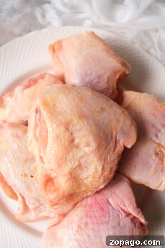 Perfect Air Fryer Frozen Chicken Thighs 4 A close-up of two raw frozen chicken thighs, bone-in and skin-on, ready for the air fryer.