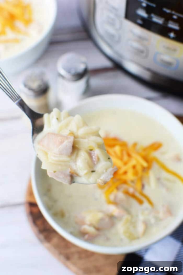 Creamy Chicken Comfort Soup 2 Creamy Chicken Crack Soup with tender chicken pieces and noodles