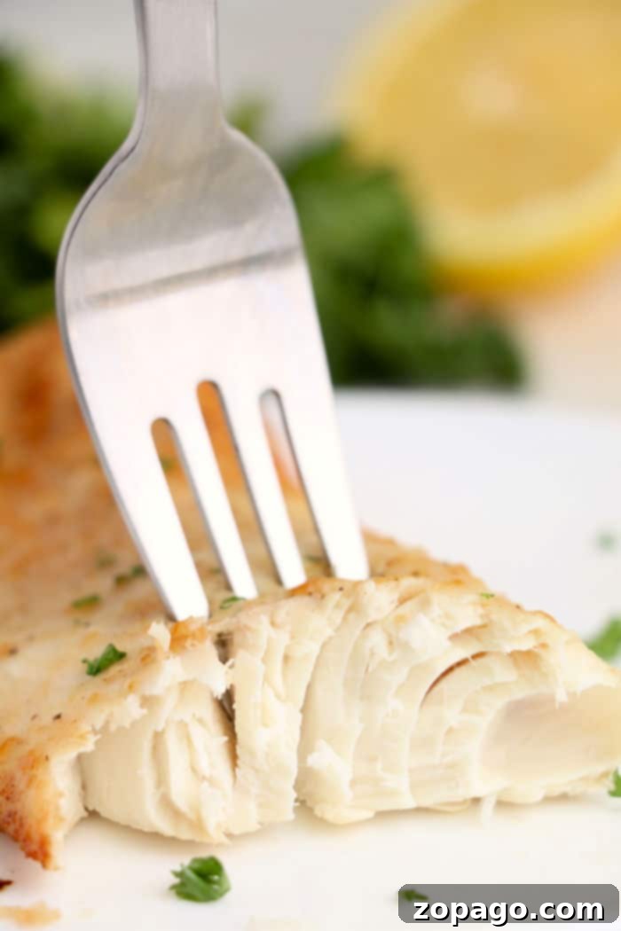 Easy Air Fryer Mahi Mahi 8 A perfectly cooked white fish fillet, showcasing its flaky texture.