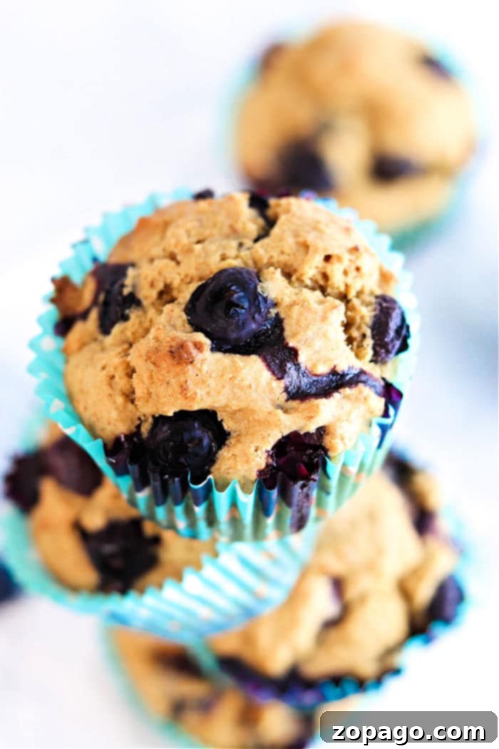 Blueberry Oat Bran Muffins 2 Delicious Blueberry Bran Muffins, perfect for a healthy breakfast or snack.