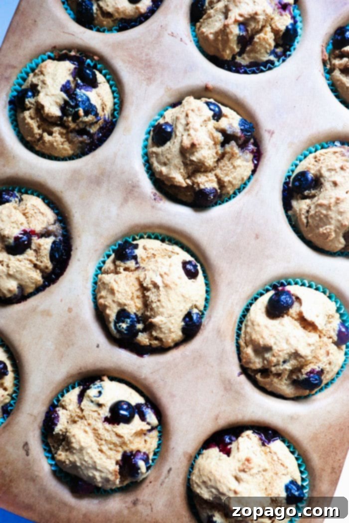 Blueberry Oat Bran Muffins 6 Homemade Blueberry Bran Muffins, fresh out of the oven.