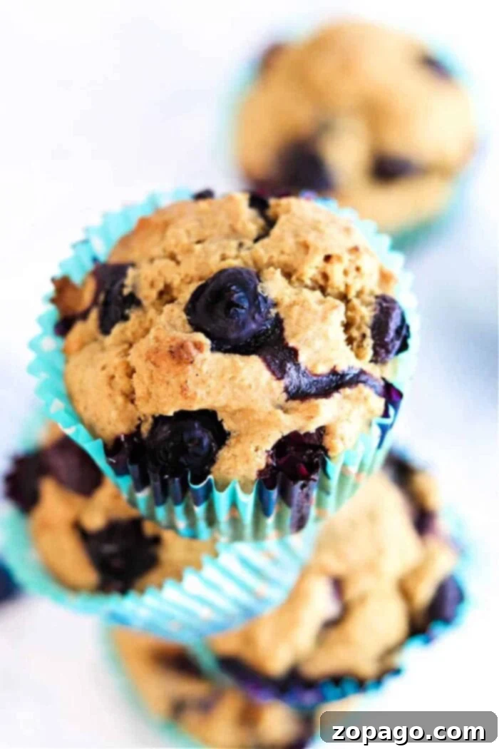 Blueberry Oat Bran Muffins 9 Healthy Oat Blueberry Bran Muffins, a delightful and nutritious treat.