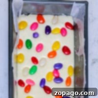 Homemade fudge squares