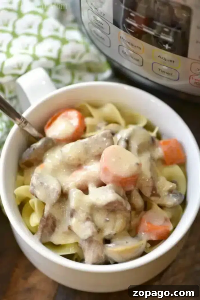Rich & Creamy Crockpot Stroganoff 4 A bowl of creamy crockpot beef stroganoff, topped on pasta, garnished with fresh herbs.