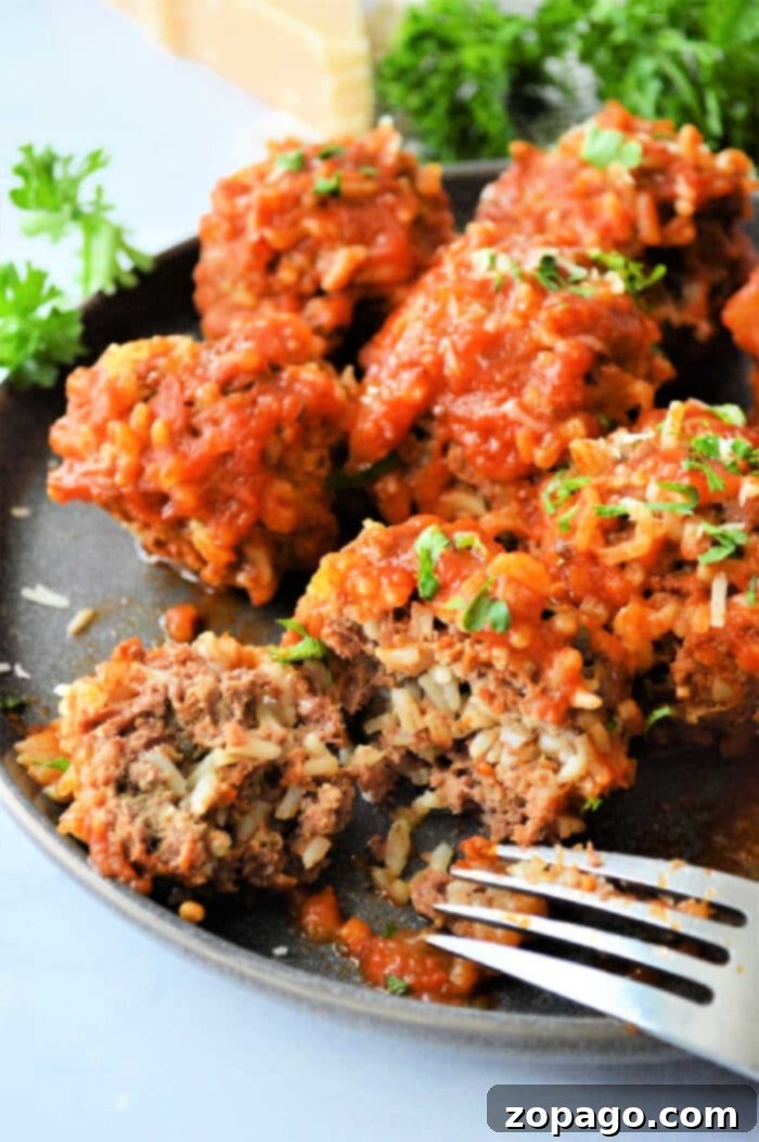 Easy Instant Pot Porcupine Meatballs 2 Porcupine-Meatballs in Instant Pot