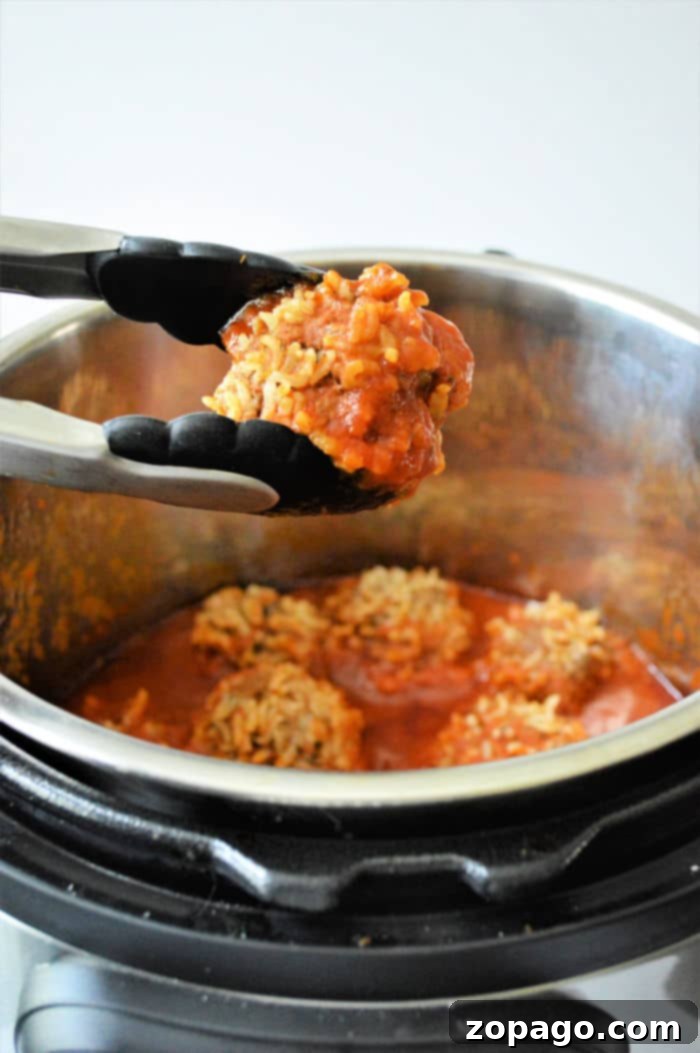 Easy Instant Pot Porcupine Meatballs 10 Instant Pot Porcupine Meatballs