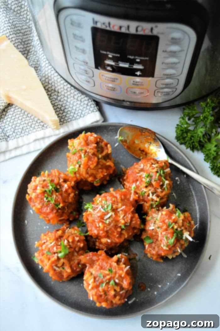 Easy Instant Pot Porcupine Meatballs 11 pressure cooker Porcupine Meatballs