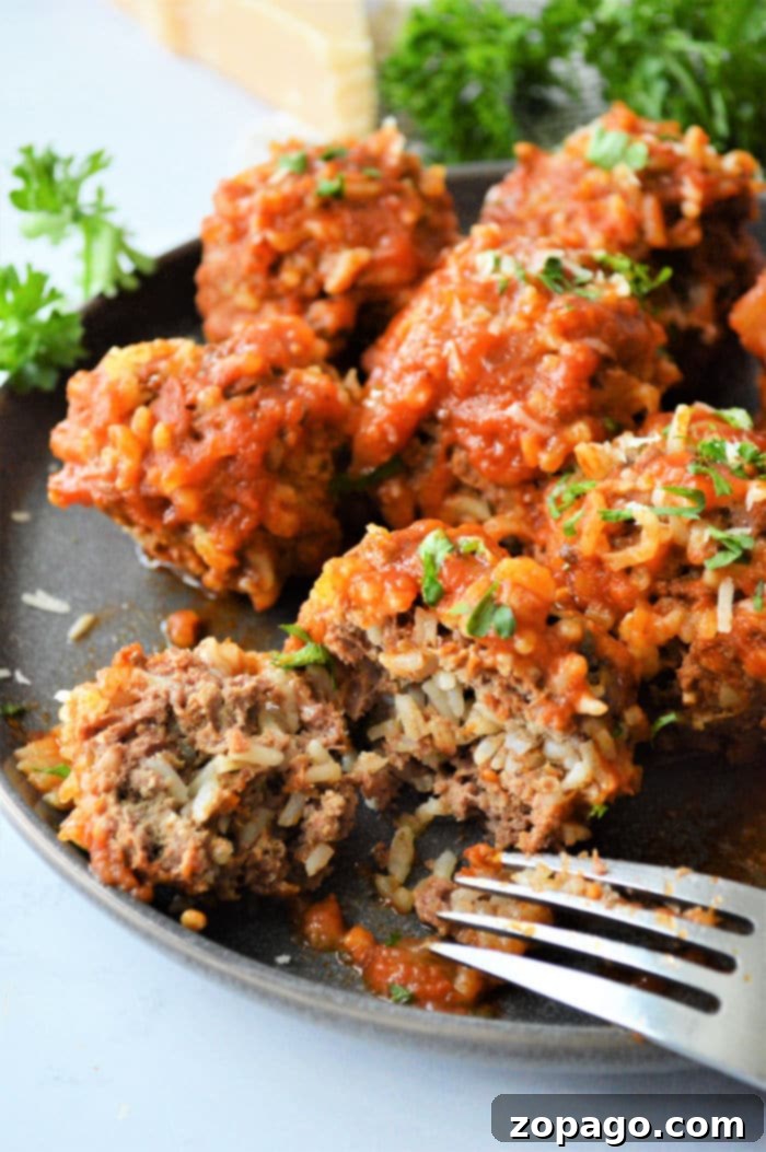 Easy Instant Pot Porcupine Meatballs 12 Porcupine Meatball recipe