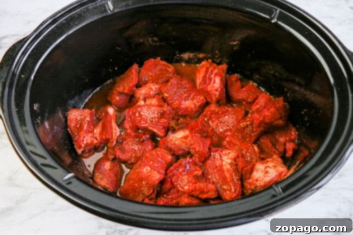 Melt In Your Mouth Slow Cooker Barbacoa 6 barbacoa slow cooker recipe