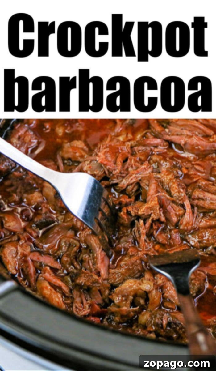 Slow Cooker Shredded Beef Barbacoa Recipe 9 crockpot barbacoa