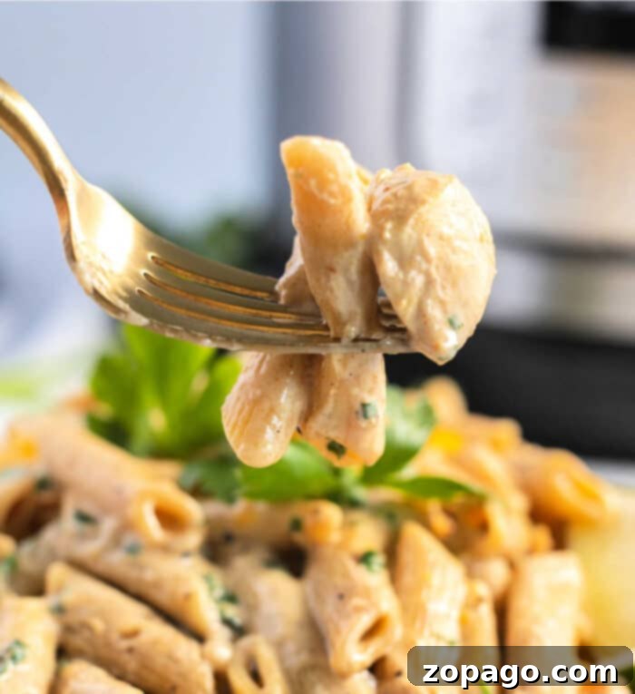 Instant Pot Olive Garden Inspired Chicken Pasta 9 Cajun Chicken Pasta recipe, a perfect family dinner.