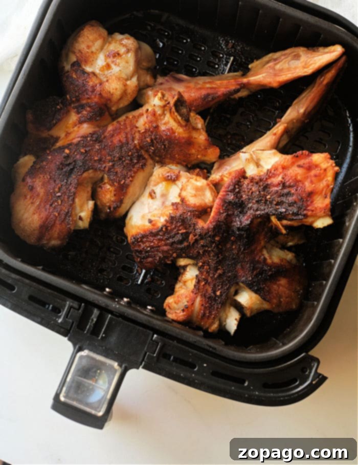 Crispy Air Fryer Turkey Wings 7 A serving of air fryer turkey wing with a side, showcasing its golden-brown crispiness
