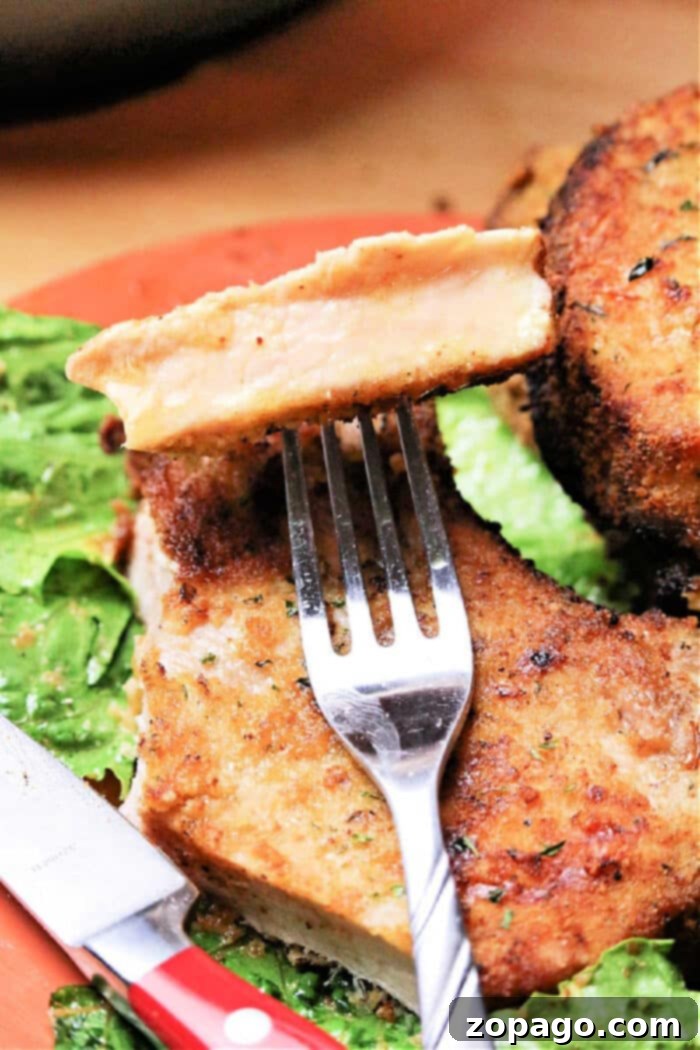 Crispy Air Fryer Pork Chops 2 Crispy breaded pork chops cooked to perfection in an air fryer, golden brown and ready to serve.