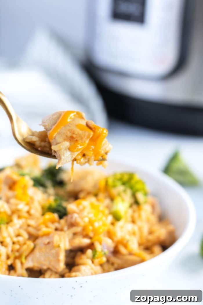 Easy Cheesy Instant Pot Chicken and Rice 2 Instant Pot Cheesy Chicken and Rice, a delicious one-pot meal