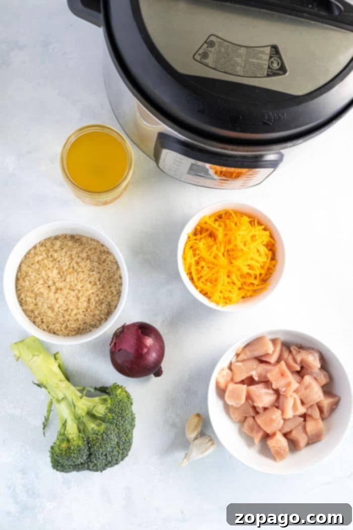 Easy Cheesy Instant Pot Chicken and Rice 4 Pressure cooker Cheesy Chicken and Rice, cooked to perfection