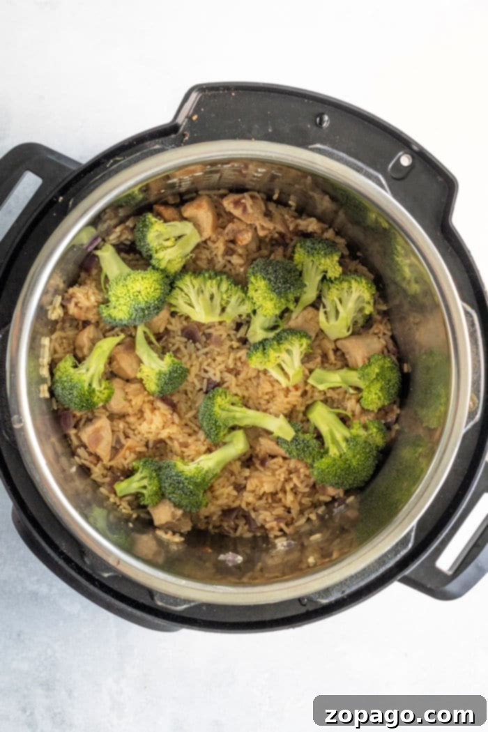 Easy Cheesy Instant Pot Chicken and Rice 5 Instant Pot Chicken Broccoli Rice, a complete and easy meal