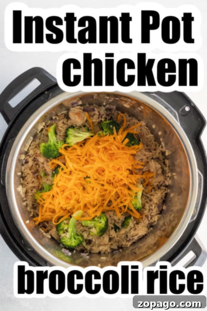 Creamy Cheesy Instant Pot Chicken and Rice 6 Instant Pot broccoli Rice