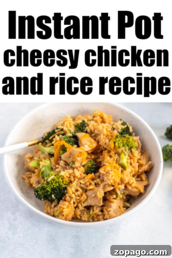Creamy Cheesy Instant Pot Chicken and Rice 7 Instant Pot Cheesy Chicken rice