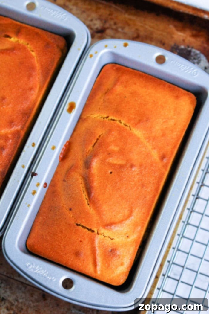 Golden Air Fryer Pumpkin Bread 2 Air Fryer Pumpkin Bread