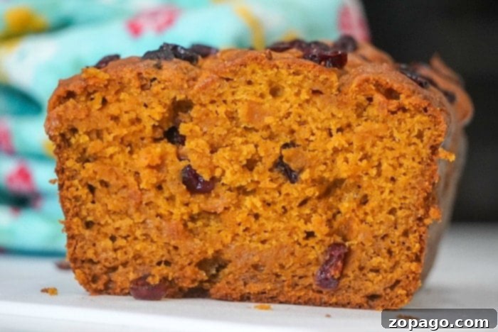 Golden Air Fryer Pumpkin Bread 7 ninja foodi pumpkin bread
