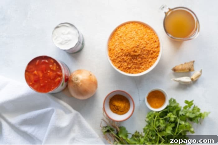 Instant Pot Curried Lentils 3 Close-up of fragrant lentil curry served in a bowl