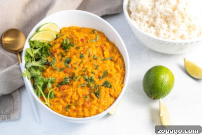 Flavorful Instant Pot Lentil Curry 5 Close-up of perfectly cooked Instant Pot lentils