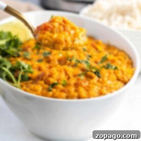 A bowl of delicious lentil curry ready to eat