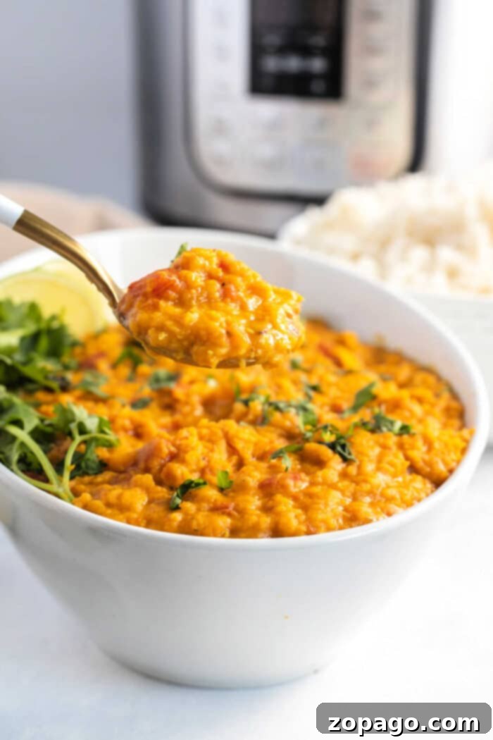 Instant Pot Curried Lentils 8 A satisfying bowl of wholesome Instant Pot Lentil Curry