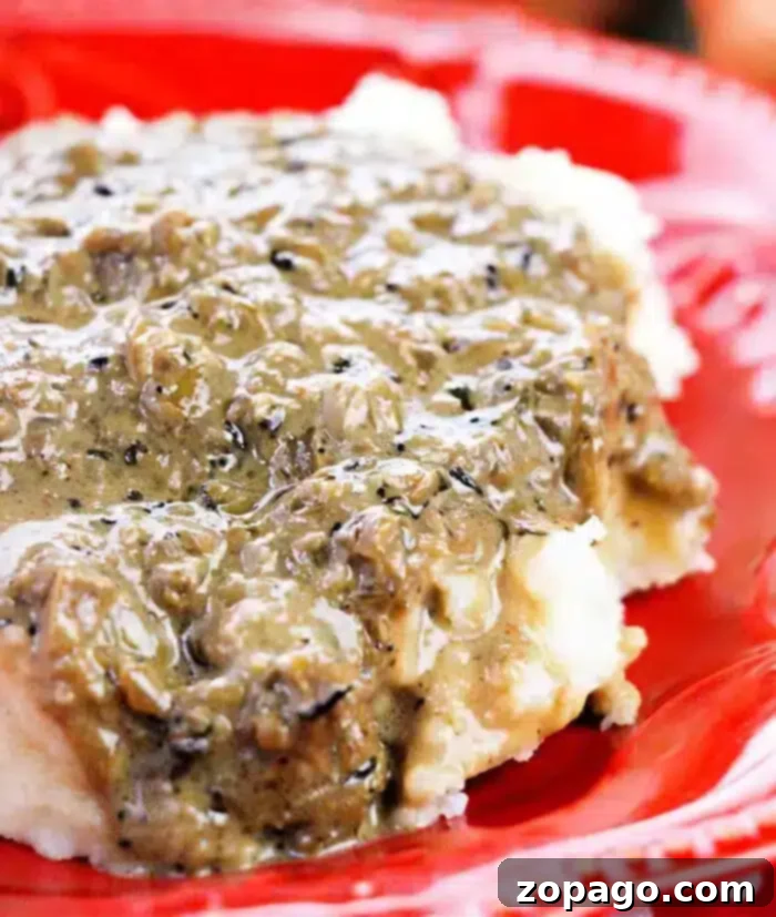Savory Onion Gravy 2 A serving of creamy mashed potatoes generously topped with rich, brown, and slightly textured homemade caramelized onion gravy on a vibrant red plate. The close-up view highlights the thick and comforting consistency, making it an irresistible addition to any meal.