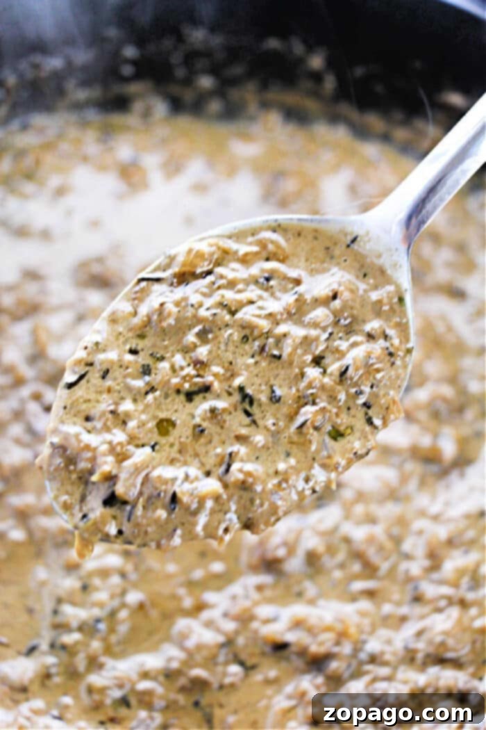 Savory Onion Gravy 6 A serving spoon holding a rich, creamy, and herb-infused sauce, possibly a mushroom or onion gravy, poised above a simmering pot of the same delicious mixture. This image evokes the perfect pairing for our homemade caramelized onion gravy, suggesting added depth and flavor for any dish.