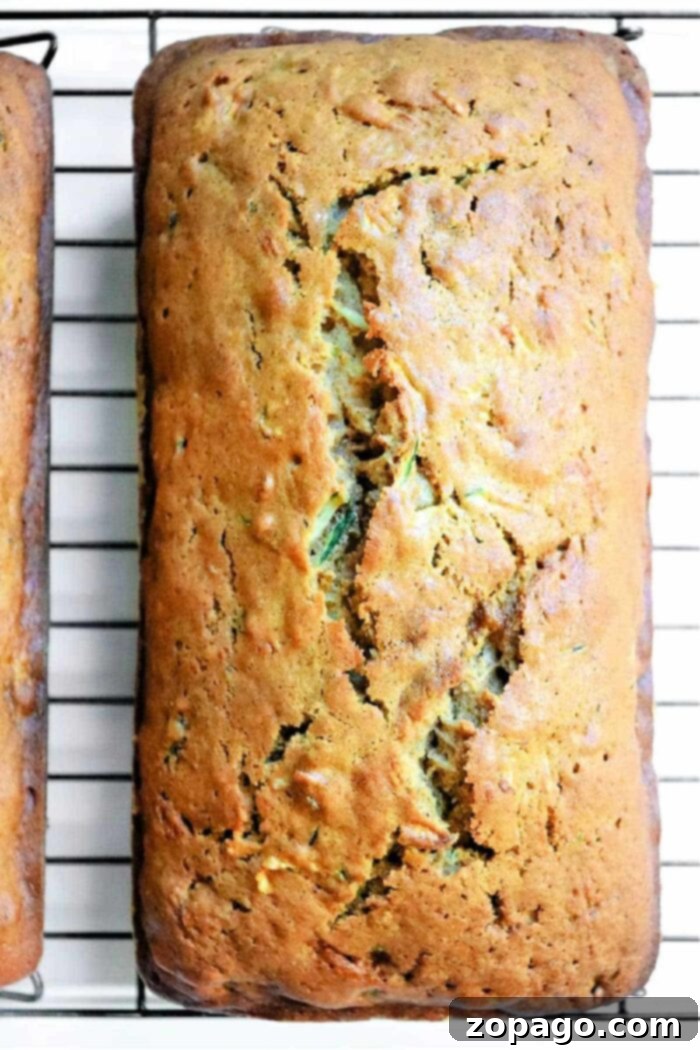Spiced Zucchini Gingerbread Delight 8 A slice of Zucchini Gingerbread cake with a dusting of powdered sugar, served on a plate