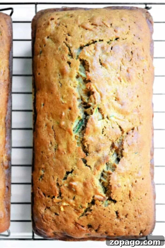 Spiced Zucchini Gingerbread Loaf 8 zucchini cake with ginger