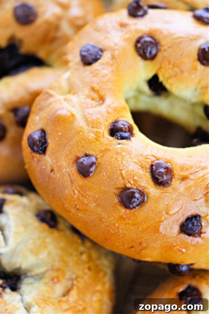 Easy 2 Ingredient Bagels 2 Homemade Bagels
