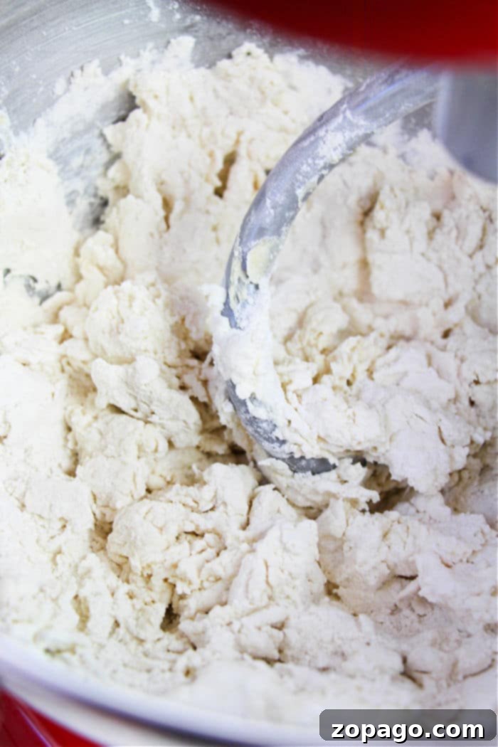 Easy Two Ingredient Bagels 3 Preparing the dough for homemade bagels
