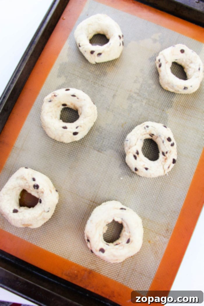 Easy Two Ingredient Bagels 6 Close-up of a delicious chocolate chip bagel recipe