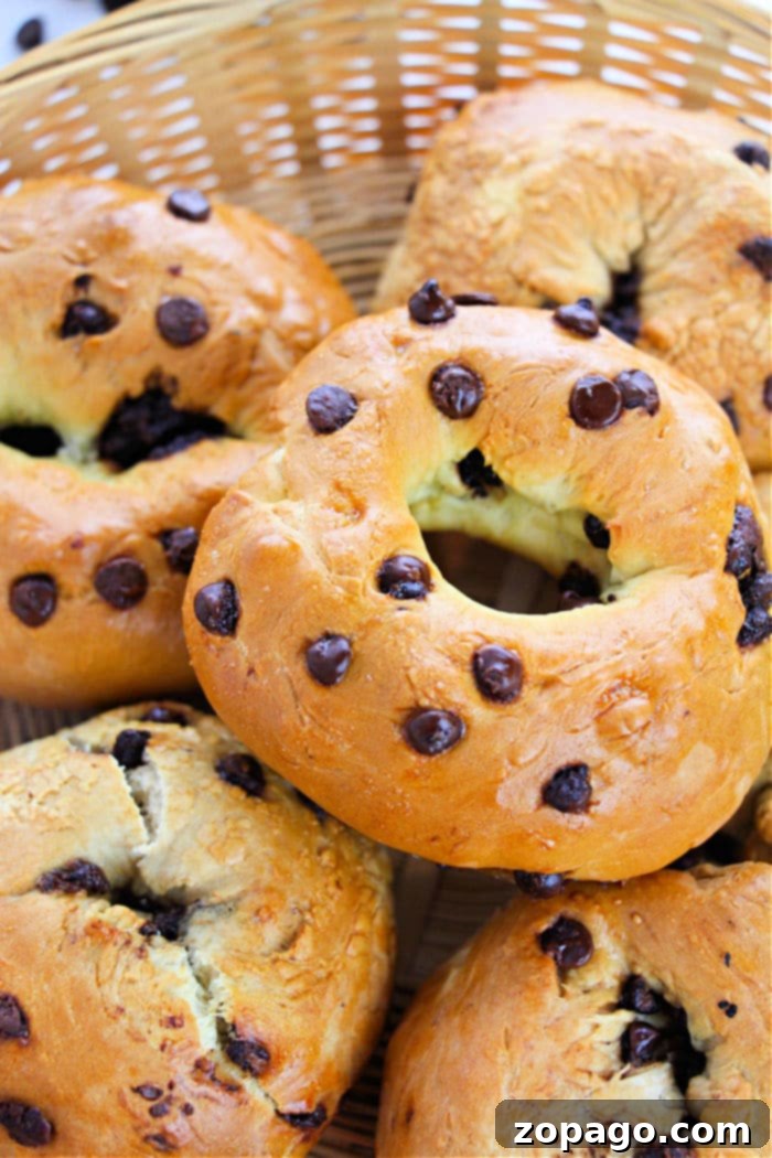 Easy Two Ingredient Bagels 7 Guide on how to make homemade bagels from scratch