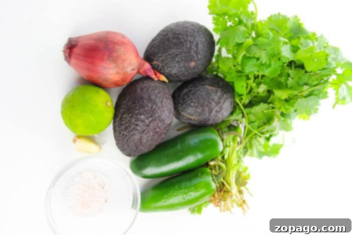 Zesty Avocado Blend 3 homemade guacamole ingredients
