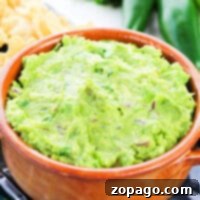 Avocado Spread Recipe