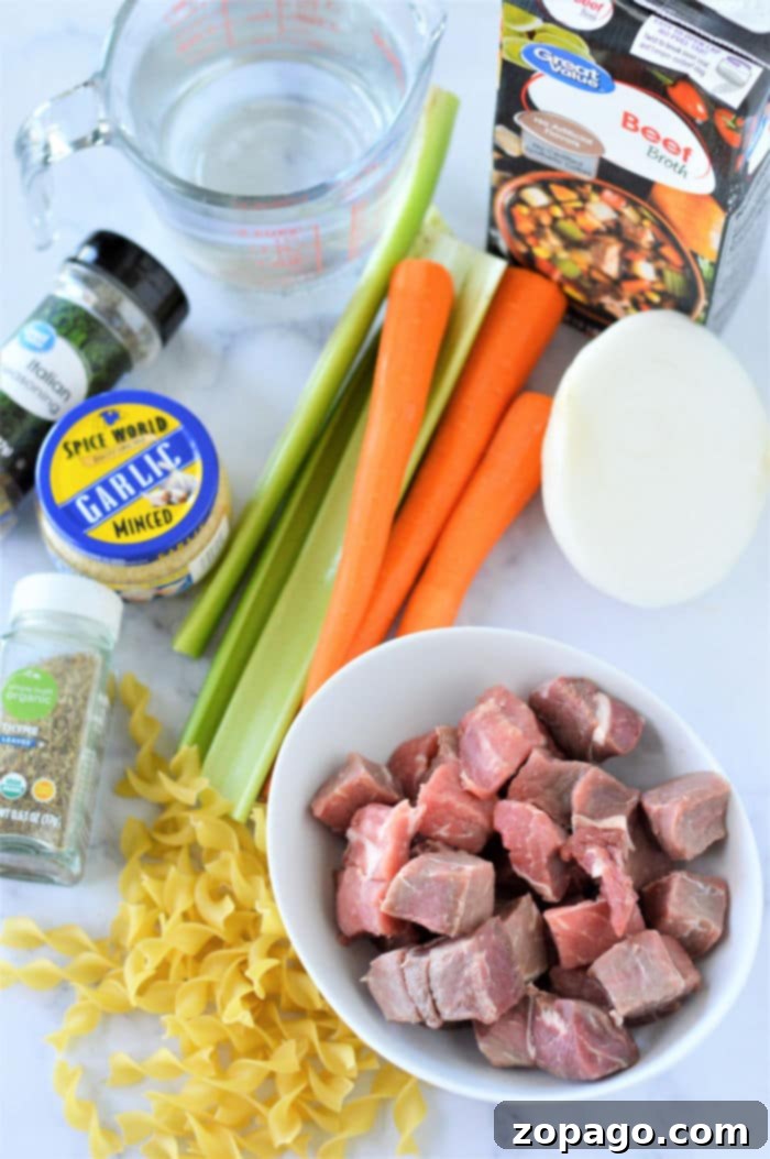 Hearty Instant Pot Beef Noodle Soup 4 A full bowl of beef noodle soup with tender beef, egg noodles, carrots, and celery, garnished with fresh herbs.