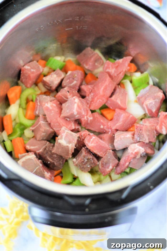 Hearty Instant Pot Beef Noodle Soup 5 A close-up of Instant Pot Beef and Noodle Soup in a bowl, showcasing the rich broth, tender beef, and springy noodles.