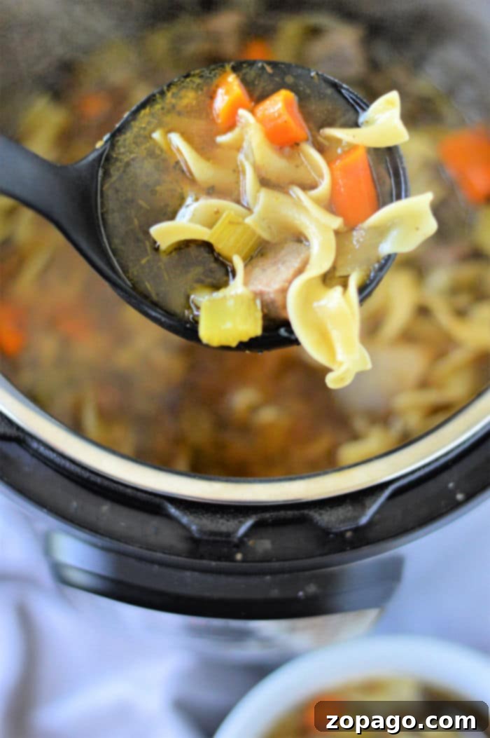 Hearty Instant Pot Beef Noodle Soup 7 A close-up of Ninja Foodi Beef Noodle Soup, showcasing the delicious blend of ingredients.