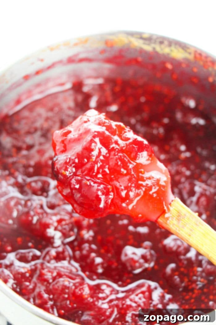 Classic Ocean Spray Cranberry Sauce 4 Cranberry Sauce Recipe with Orange Juice garnished with orange slices.