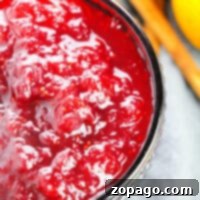 Classic Ocean Spray Cranberry Sauce 6 A bowl of bright red cranberry sauce with visible fruit chunks, perfectly enhanced by a hint of orange juice, creates a delightful twist on the classic recipe.