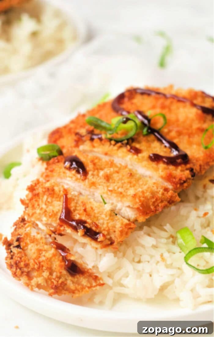 Air Fryer Chicken Katsu 2 Crispy Air Fryer Chicken Katsu served with rice and sauce.